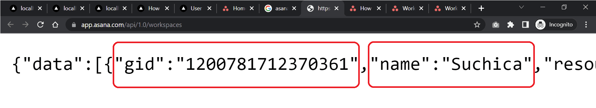 Asana workspace API response